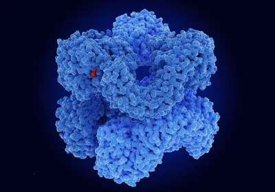 Rendering of a light blue NLRP3 inflammasome against a black background